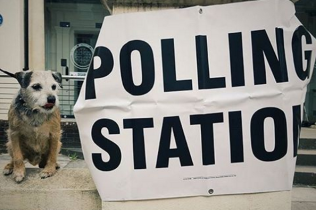 Local By-Election Campaign Guide